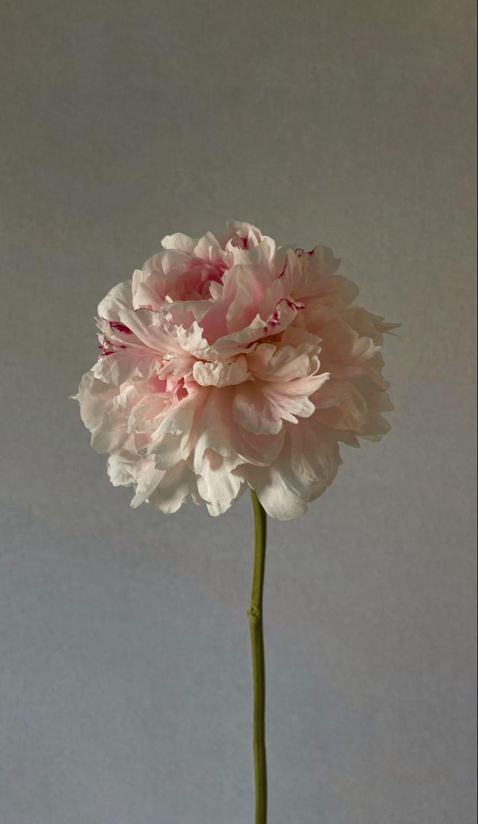 MarblePebbleField workshop space where corporate flower arrangements are designed and prepared for business delivery